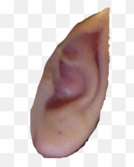 Human Elf Ear Sticker By Shaneinsane666 - Disease Png,Elf Ear Png