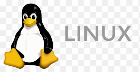 Endpoints System Inspector Summary - Tux Linux png