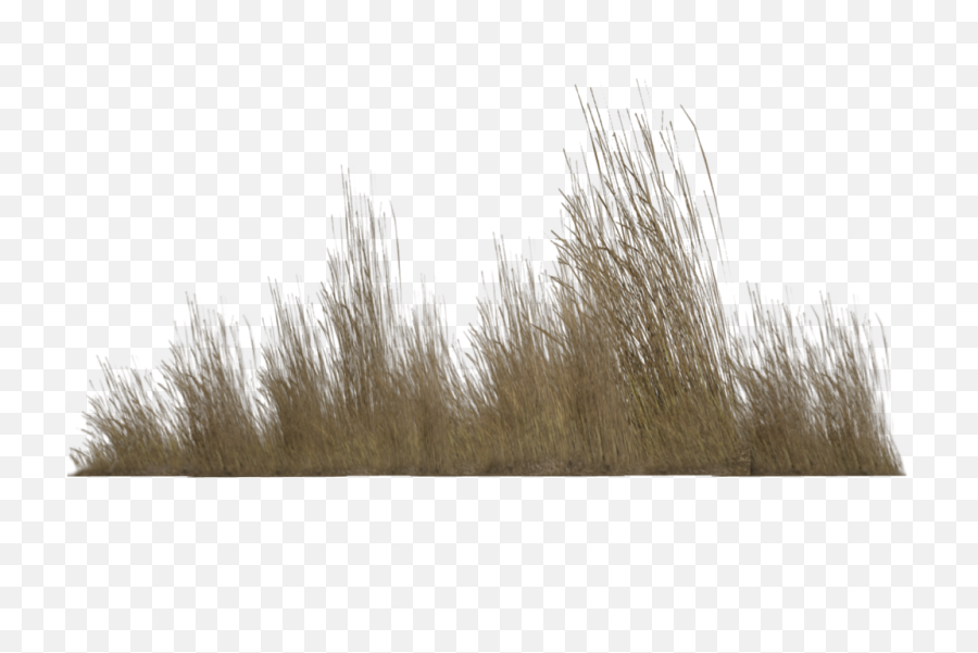 Dry Grass Clipart Greenery - Transparent Background Dry Grass Png,Grass Clipart Transparent