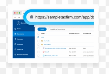 Setting Up A Custom Website Url - TaxDome Help Center Vertical png