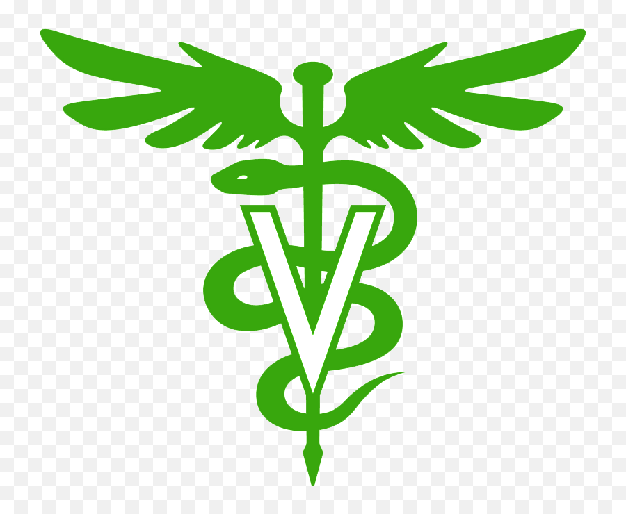 Vetcalls Your Five Cities Mobile Veterinarian Santa - Veterinary Symbol Png,Veterinarian Icon