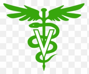 Vetcalls Your Five Cities Mobile Veterinarian Santa - Veterinary Symbol png