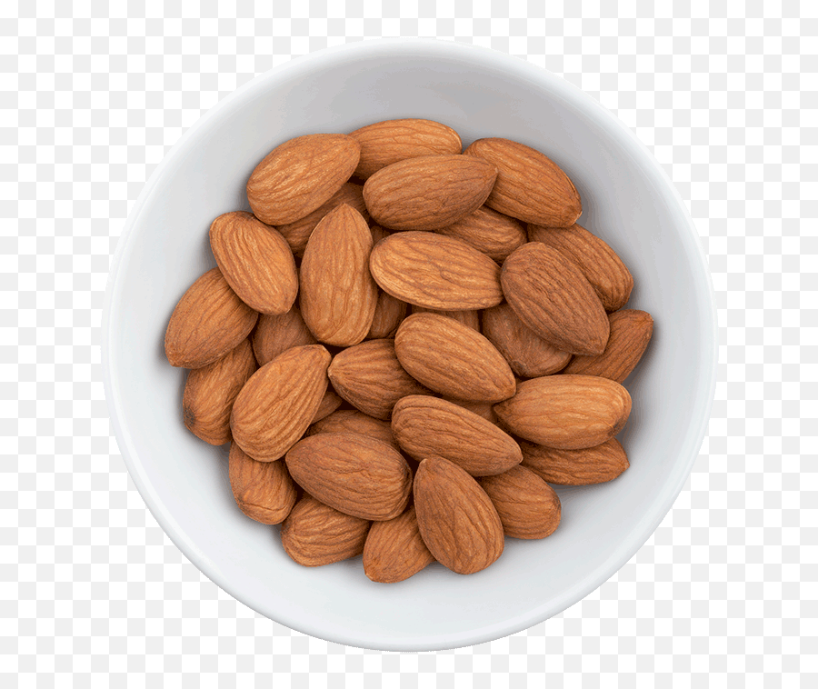 Almonds - Almond Png,Almonds Png