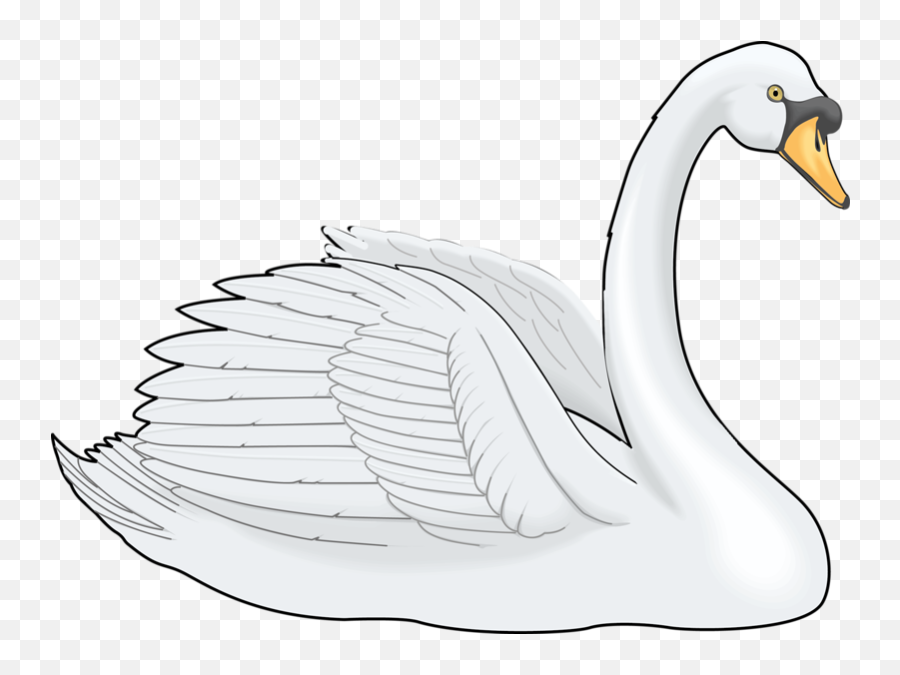 Cygnini Painting Clip Art - White Swan Png Download 800 Swan Cartoon Png,Swan Png