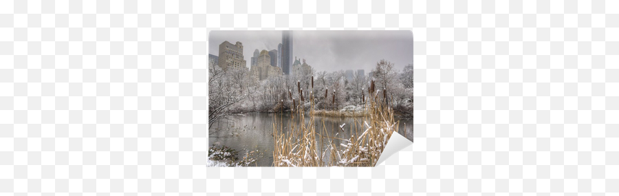Central Park New York City Snow Storm Wall Mural U2022 Pixers - We Live To Change Skyline Png,Snow Storm Png