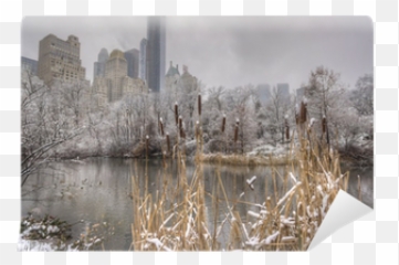 Central Park New York City Snow Storm Wall Mural U2022 Pixers - We live change Skyline png
