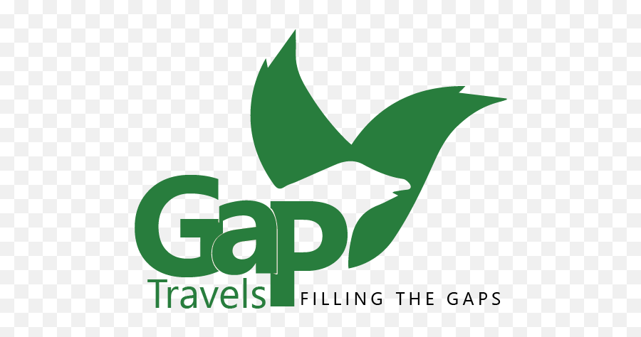 Gap Travel Safaris U2014 Gorilla Tours U0026 Family Wildlife - Graphic Design Png,Gorilla Logo