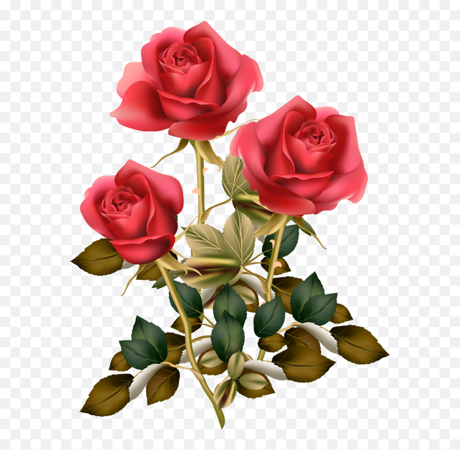 Download Red Rose Png Roses Clipart - Rose Good Morning,Rose Clipart Png