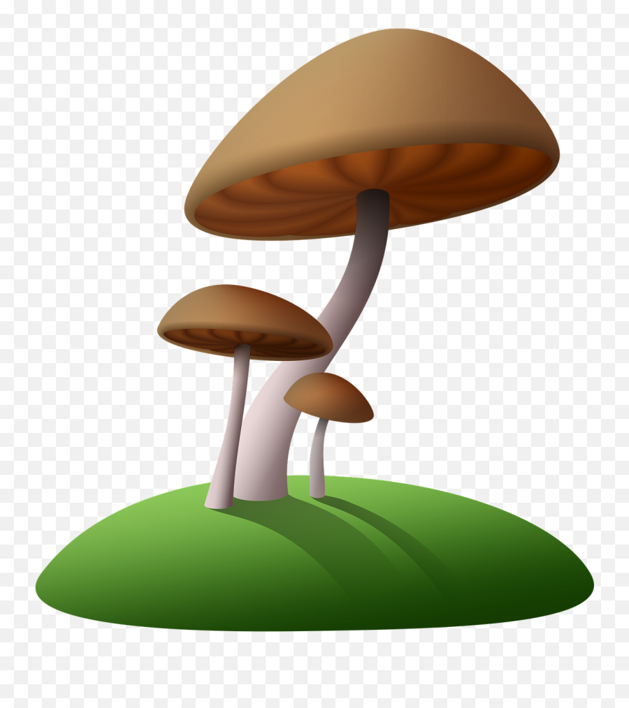 Cartoon Tree Stump 9 Buy Clip Art - Transparent Background Mushroom Clip Art Png,Cartoon Tree Transparent Background