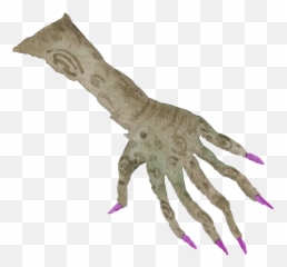 Download Hand Painted Watercolor Magic Halloween - Witch Hand Transparent Png,Witch Transparent