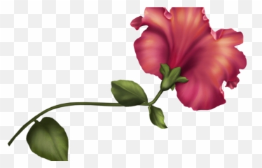 Vintage Flower Png Clip Art Best Web Clipart
