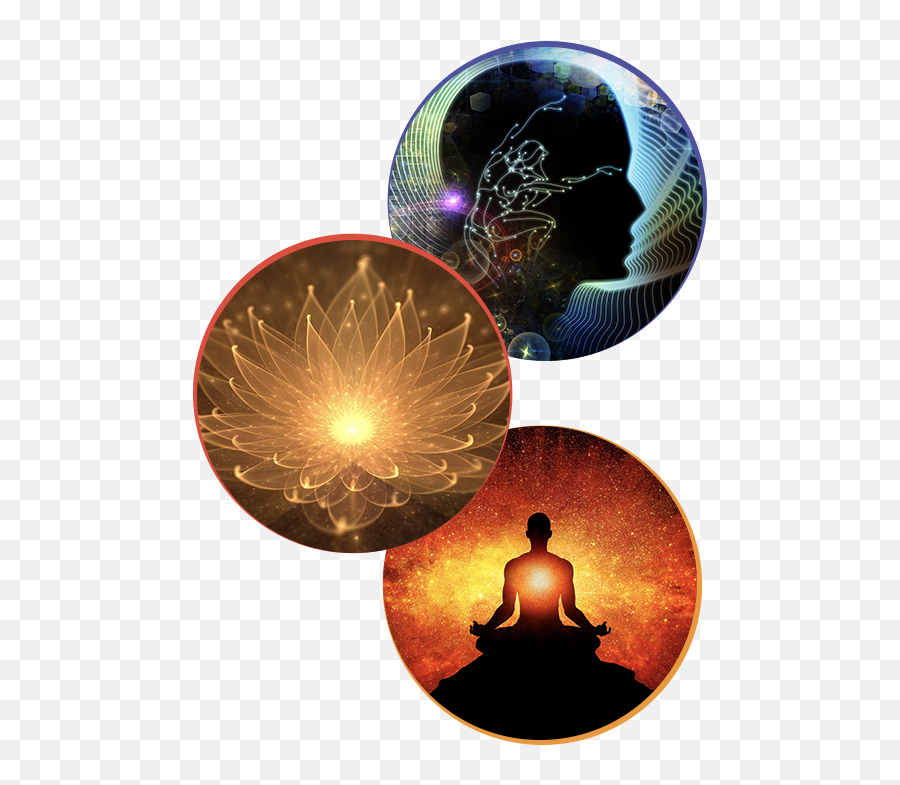 Integral Awakened Mind Home - Mind People Image Png Hd,Mind Png