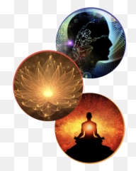 Integral Awakened Mind Home - Mind People Image Png Hd,Mind Png