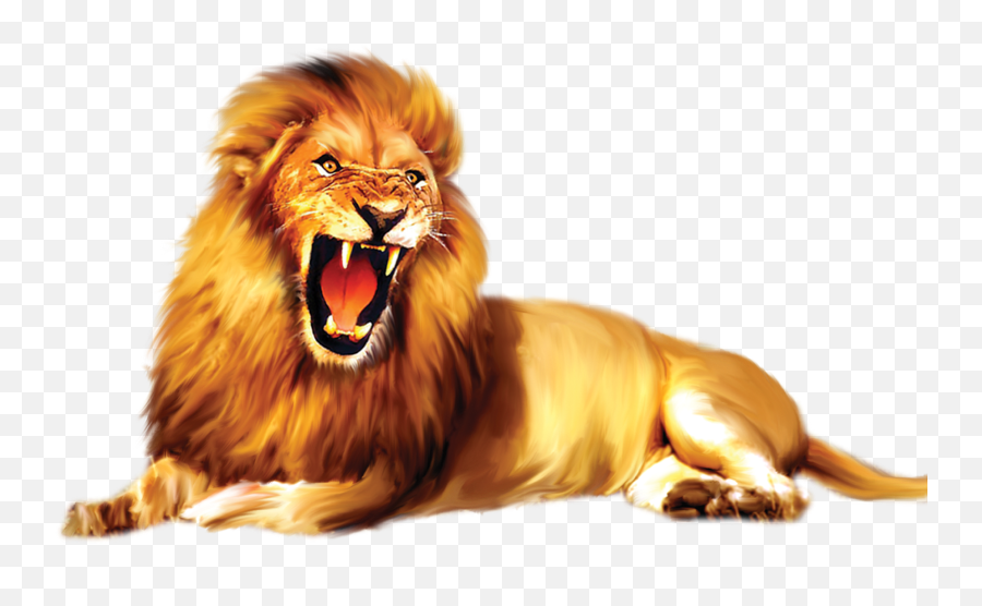 Download Lion Png Images - Lion Images Hd Png,Lion Png