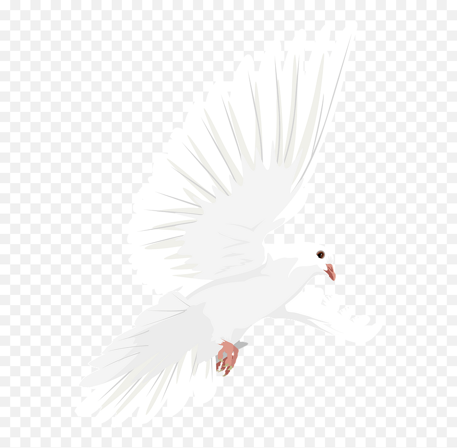 Dove In Flight Clipart Free Download Transparent Png - White Birds,Doves Flying Png