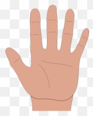 Flat Simple Cartoon Hand Png And Psd - Clipart