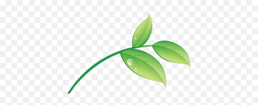 Eco Leaf Logo - Leaf Natural Png,Green Leaf Png
