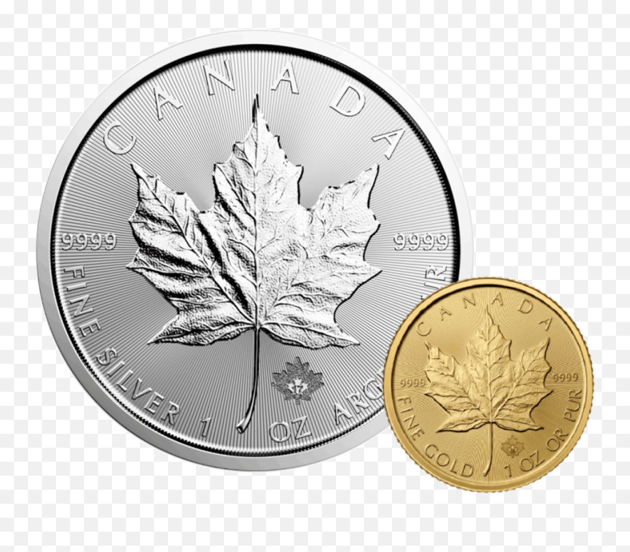 2017 Silver Maple Leaf - Canadian 1 Oz Silver Maple Leaf 2016 Png,Canadian Leaf Png