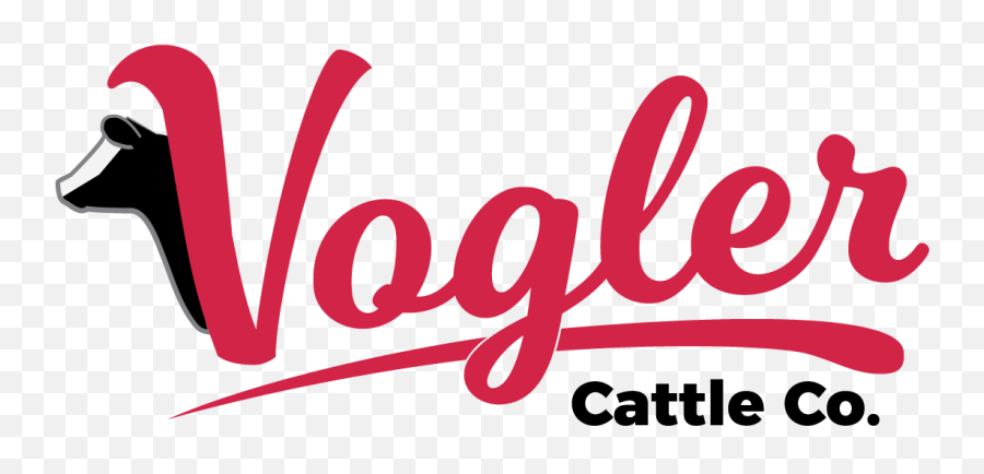 Vogler Cattle Company - Big Head Little Body Png,Cattle Brand Logo