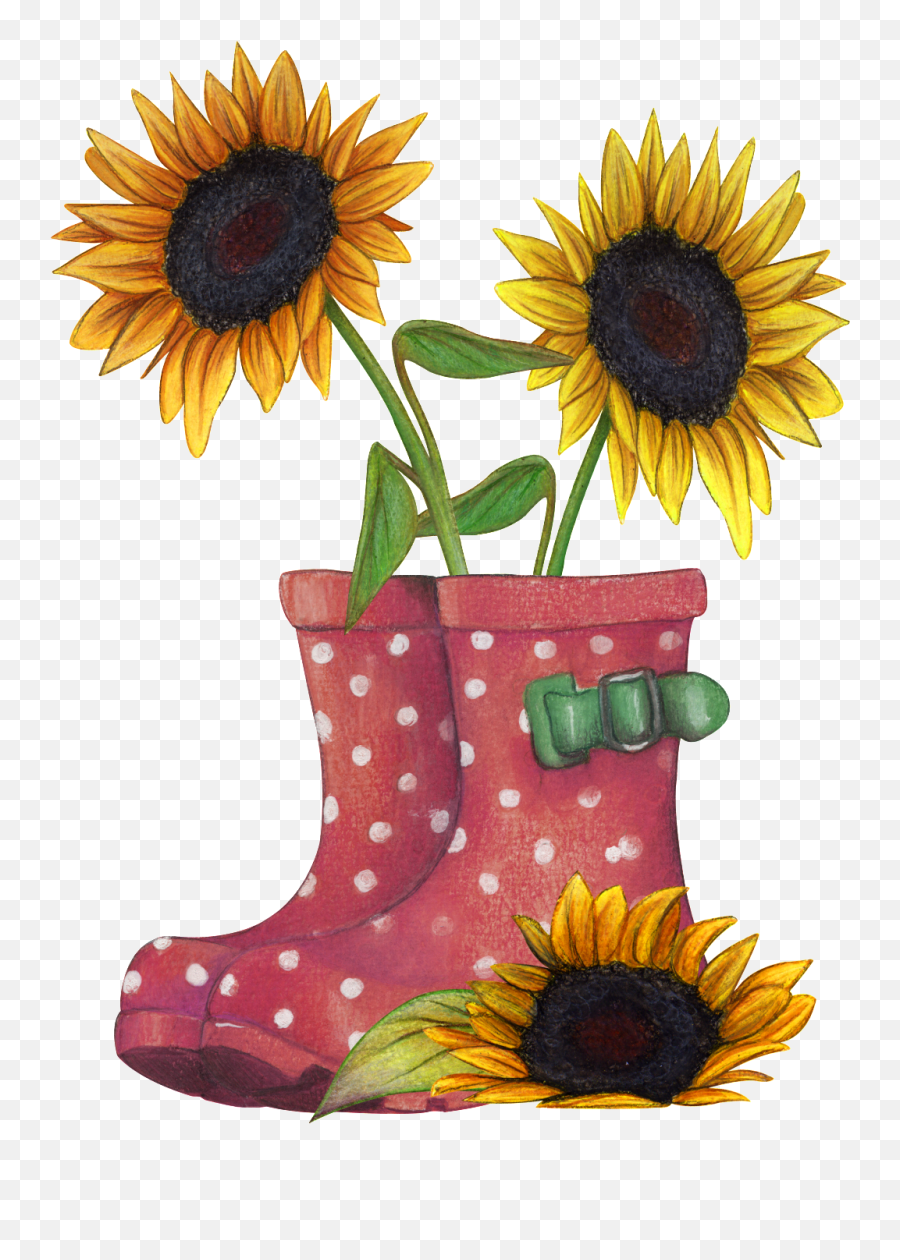 Download Sunflower Png Transparent Placed In Rain Boots - Sunflowers Rain Boots,Transparent Sunflowers
