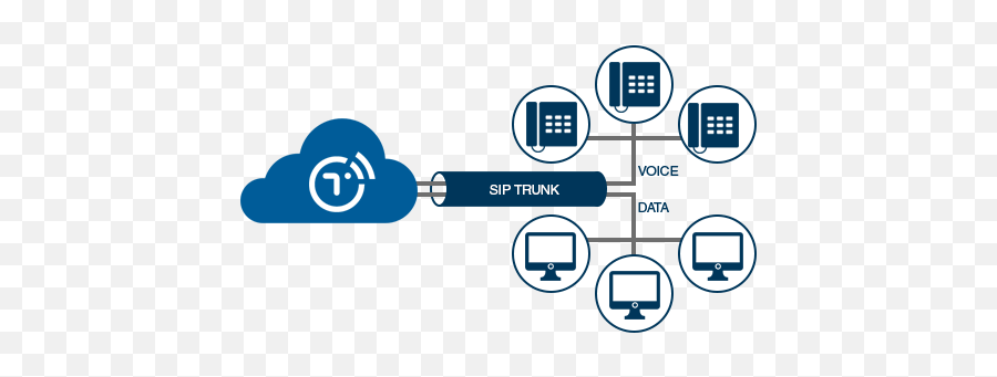 Secure Sip Provider - Que Es Una Troncal Png,Sip & Scan Icon