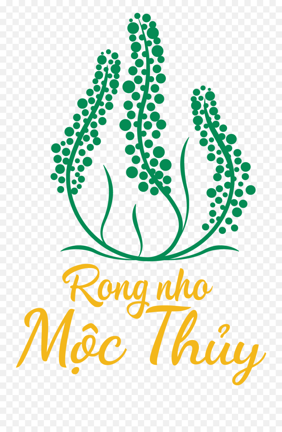 Rong Nho Mc Thu - H Thng Cung Cp Rong Nho Cht Lng Hourglass Park Png,Zalo Icon
