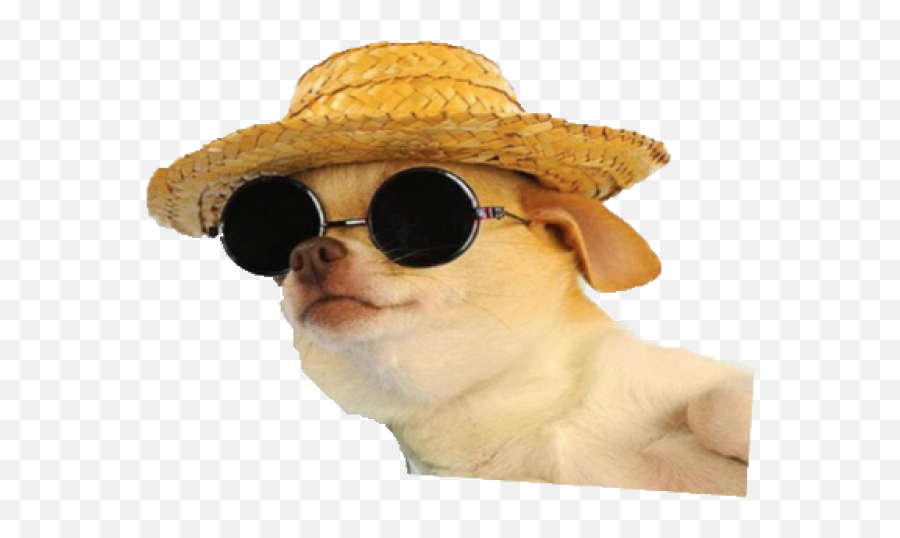 Chill Dog Png - Dog With Sunglasses Png,Dog Png Transparent