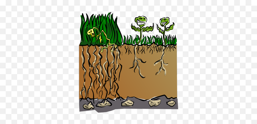 Dead Grass - Weeds Choking Out Plants Png,Dead Grass Png