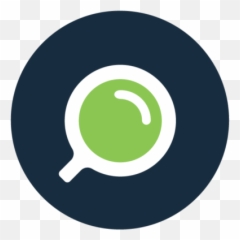 Services U2013 Find The Facts Inc - Dot Png,Qlikview Icon