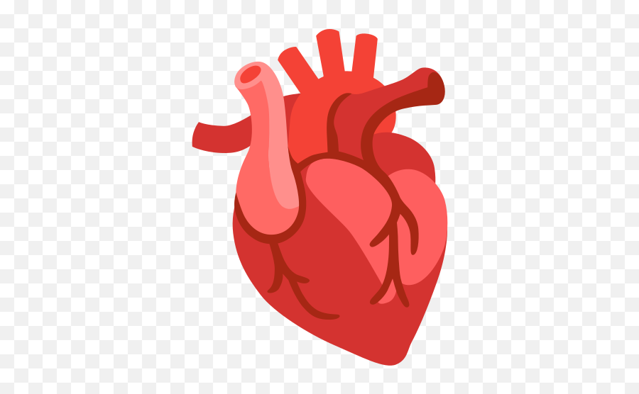 Anatomical Heart Emoji - Anatomical Heart Emoji Png,How Do You Make The Heart Icon