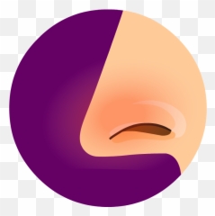 Allergies - BrainPOP Dot png