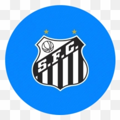 Cryptorank Widgets For Coins Market State And Ieo Roi - Santos Fc Png,Tera Guild Icon