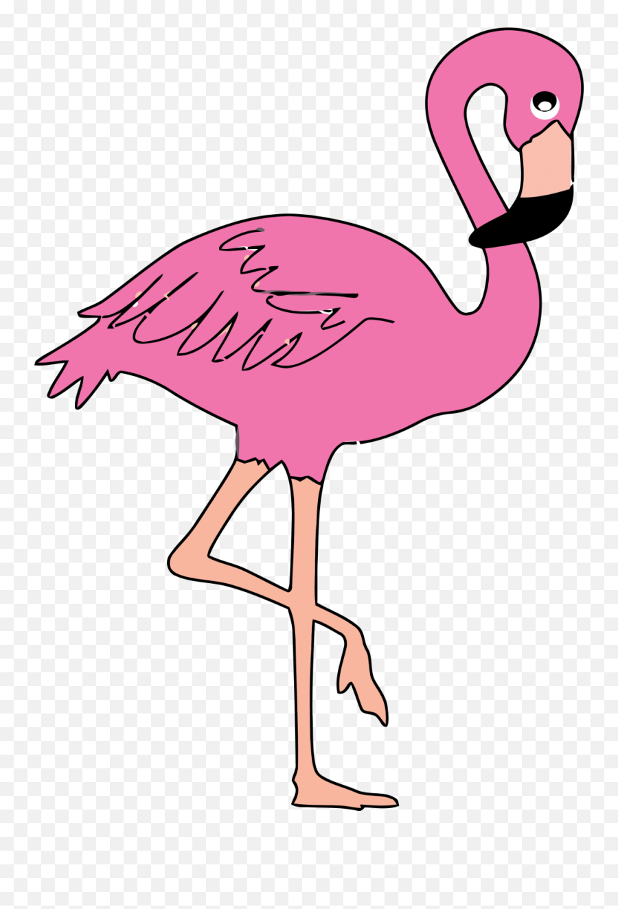 Download Hd Collection Of High Quality - Imagen De Un Flamingo Png,Flamingo Transparent Background