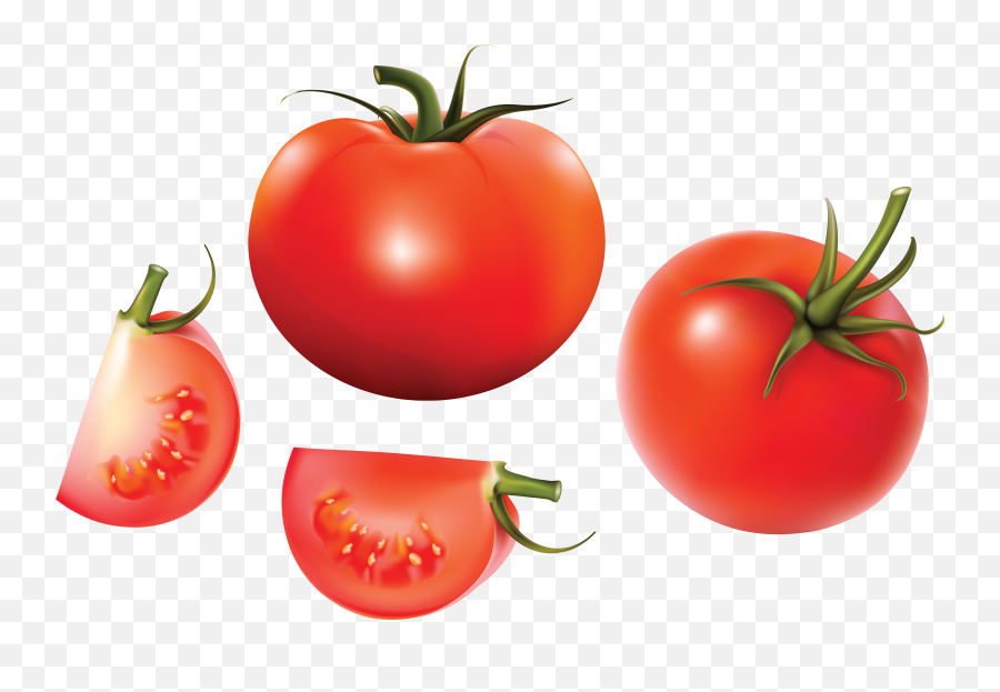 Tomato Soup Euclidean Vector Vegetable - Vector Tomatoes Png,Tomato Clipart Png