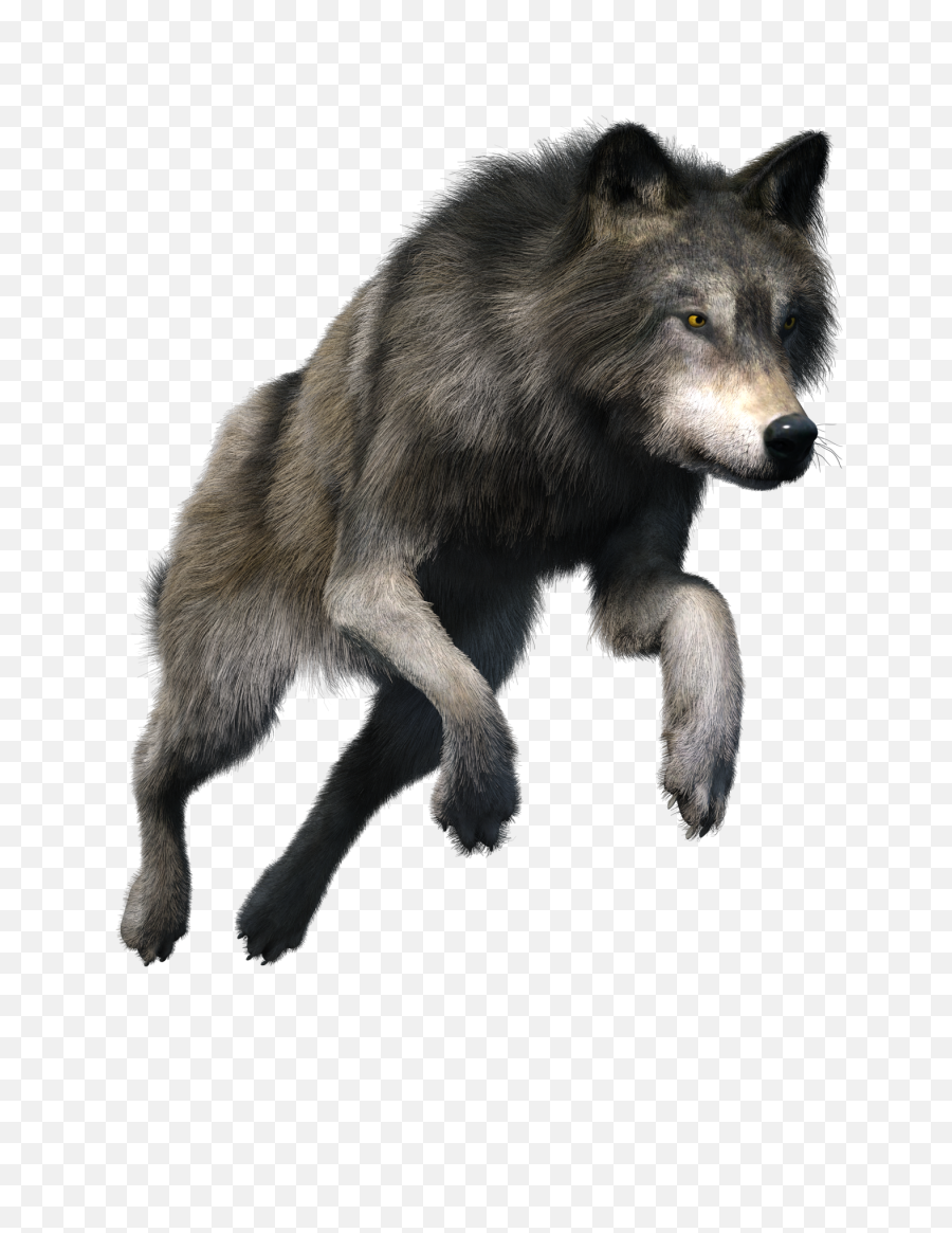 Download Howling Wolf Clipart Free - Wolf Png,Howling Wolf Png