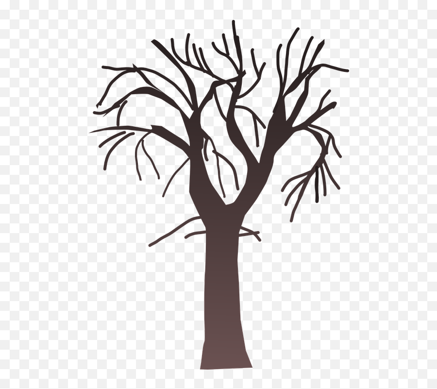 Tree Bare Branches - Bare Clipart Png,Bare Tree Png