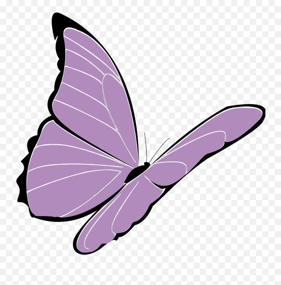 Violet Butterfly Vector Clip Art - Flying Butterfly Cartoon Png,Butterfly Vector Png