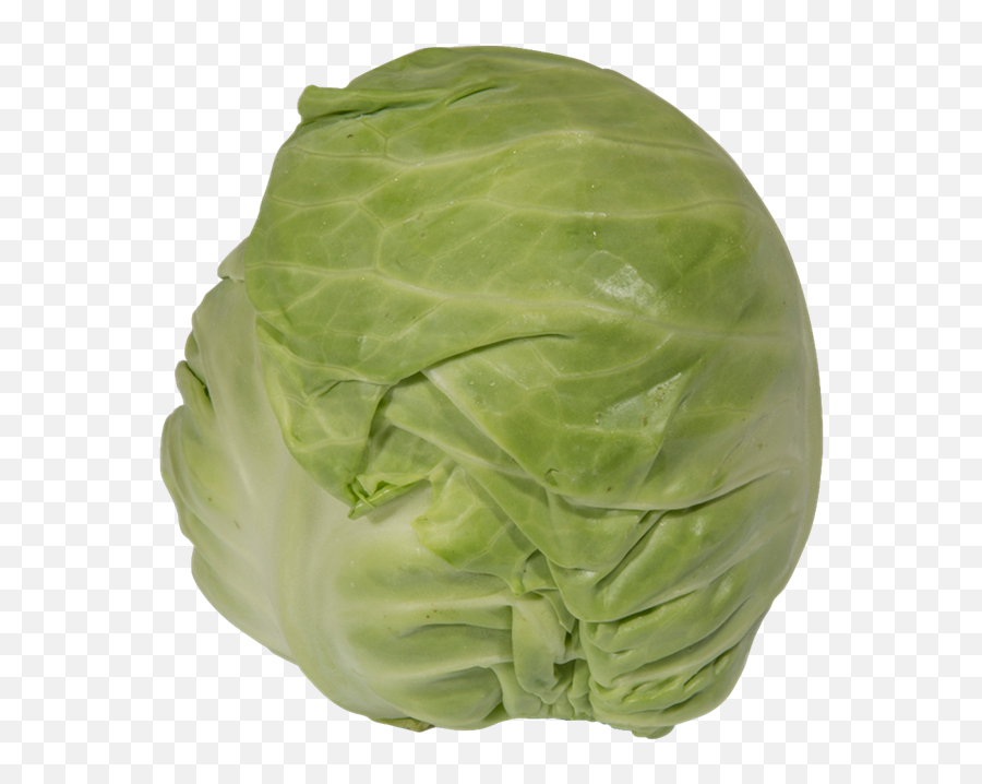 Cabbage Th Clements - Iceburg Lettuce Png,Cabbage Transparent