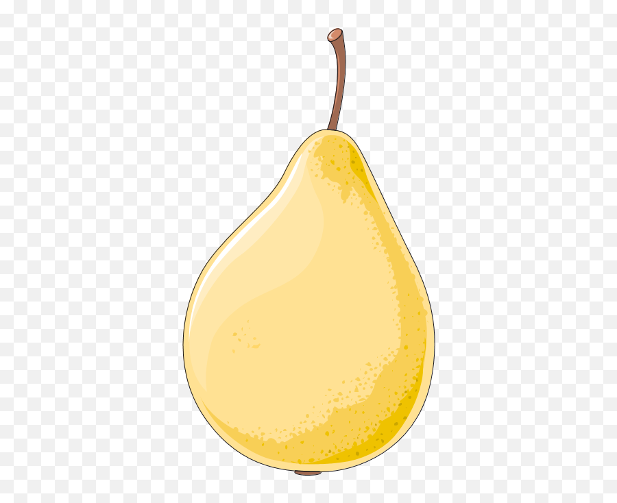 Filepear Clip Artpng - Wikimedia Commons Illustration,Pear Png