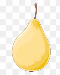 Filepear Clip Artpng - Wikimedia Commons Illustration,Pear Png