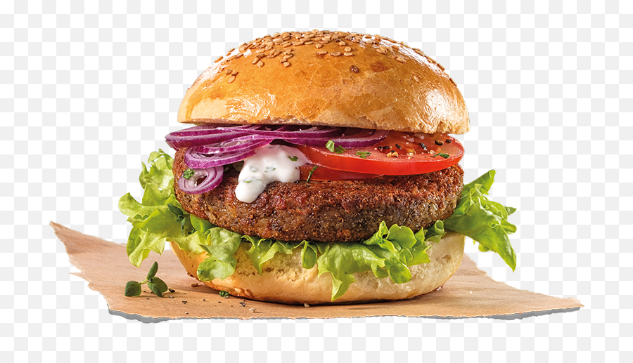 Download Hamburger Patty Png Image - Earthworm Burger,Krabby Patty Png