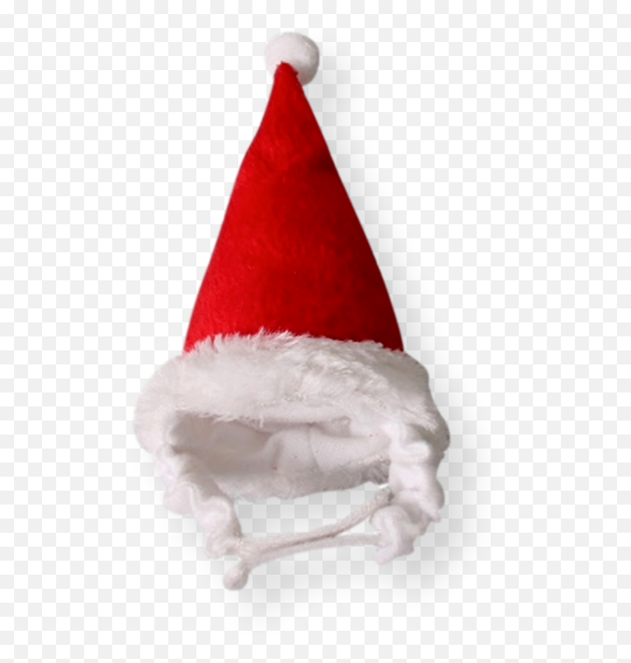 Coatsville Small Animal Christmas Santa Hat - Pet Png,Santas Hat Png