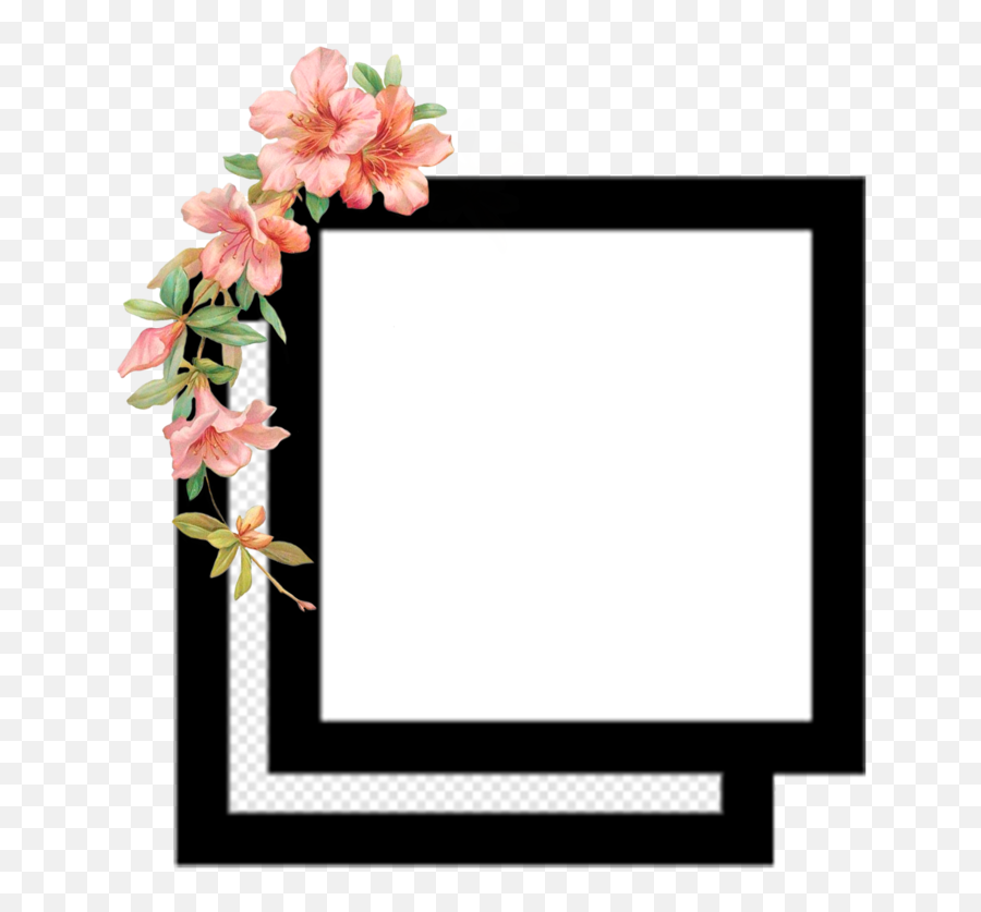Edit Editing Editingneeds Flower Square Overlay Png - Frame For Editing Video,Flower Overlay Png