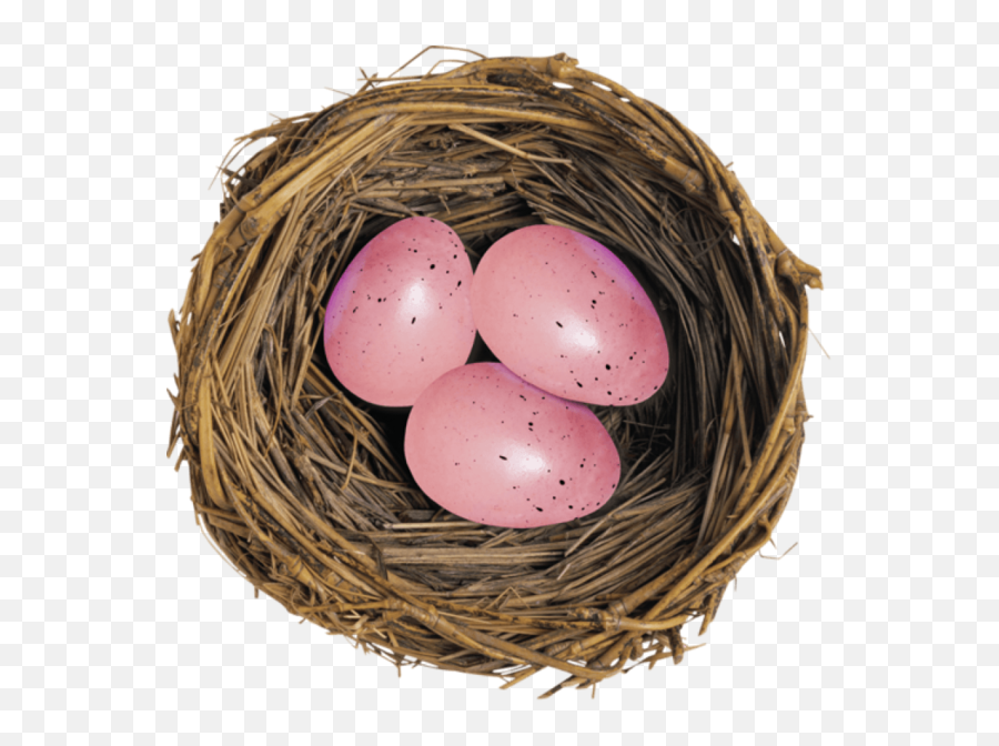 European Robin Bird Nest Egg For Easter - 850x837 Eggs In A Group Png,Bird Nest Png