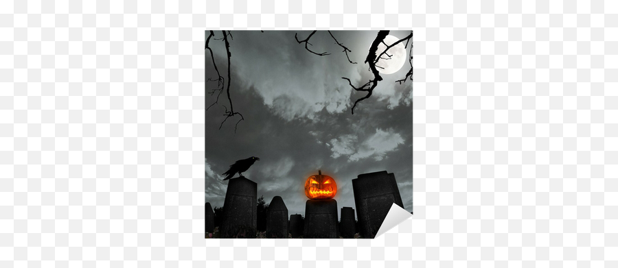 Spooky Halloween Background With Pumpkin And Raven Silhouette Sticker U2022 Pixers - We Live To Change Skyscraper Png,Raven Silhouette Png