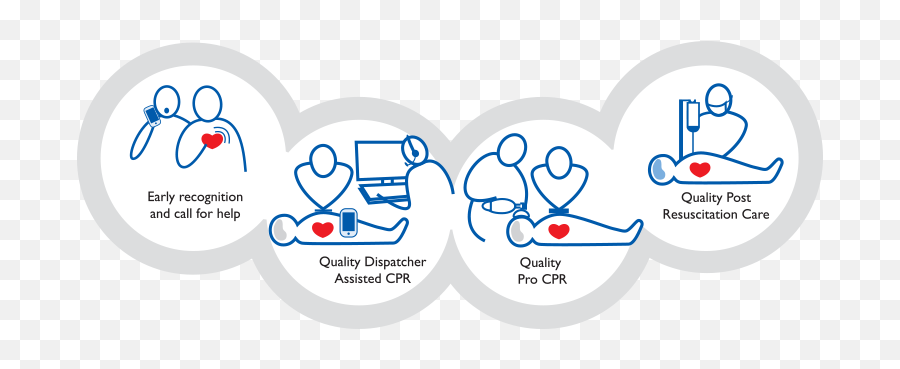 Increasing Survival From Cardiac Arrest - Chain Of Survival Transparent Png,Survival Png