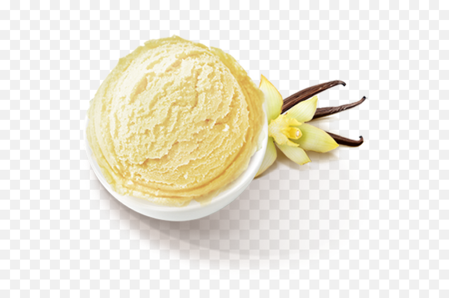 Helado De Vainilla 5l - Vainilla Png,Vanilla Ice Cream Png