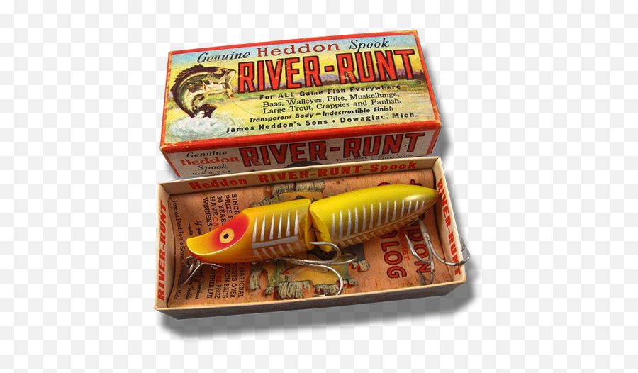 5 Must-Have Trout Fishing Lures and Baits for Stocked Trout