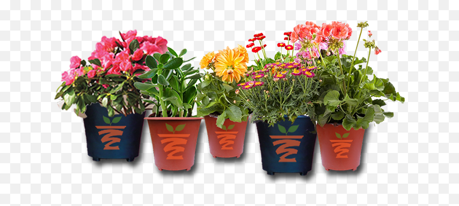 Plants - Flower Plant Pot Png,Planters Png