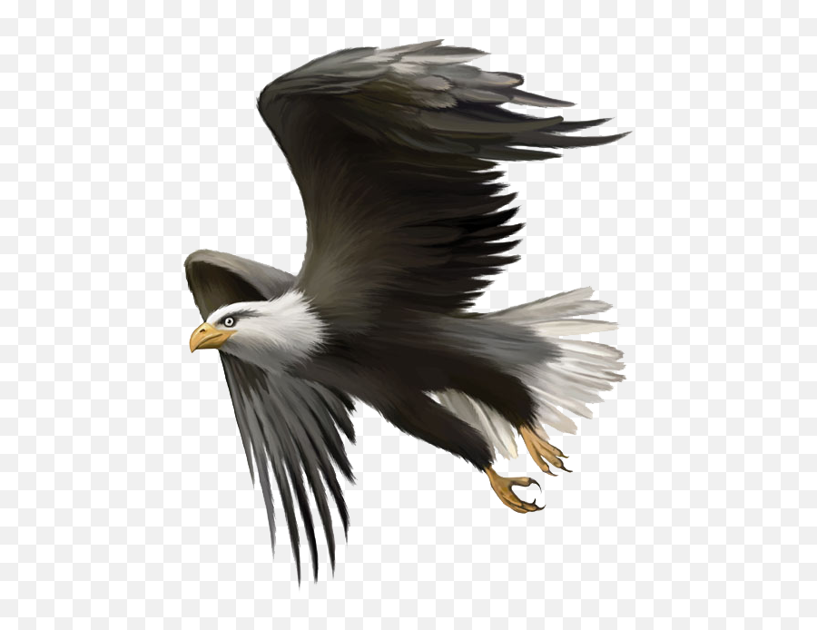 Bald Eagle Flying Png - Don T Be A Parrot Be An Eagle Quotes,Eagle Flying Png